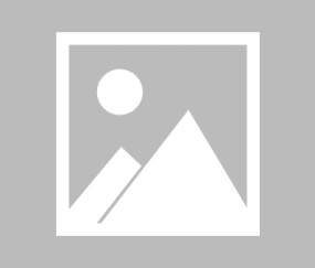 亿万28官网h5-第32届“五羊杯”全国象棋冠军赛高手云集 精彩纷呈|体育比赛|元老|王中王|奖金|亚军