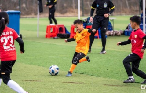 亿万28官网-新河镇 “迎新杯” 青少年足球赛鸣金，根宝基地小将首夺冠军
